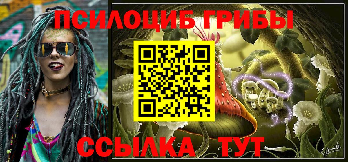 Псилоцибиновые грибы Magic Shrooms Нерюнгри