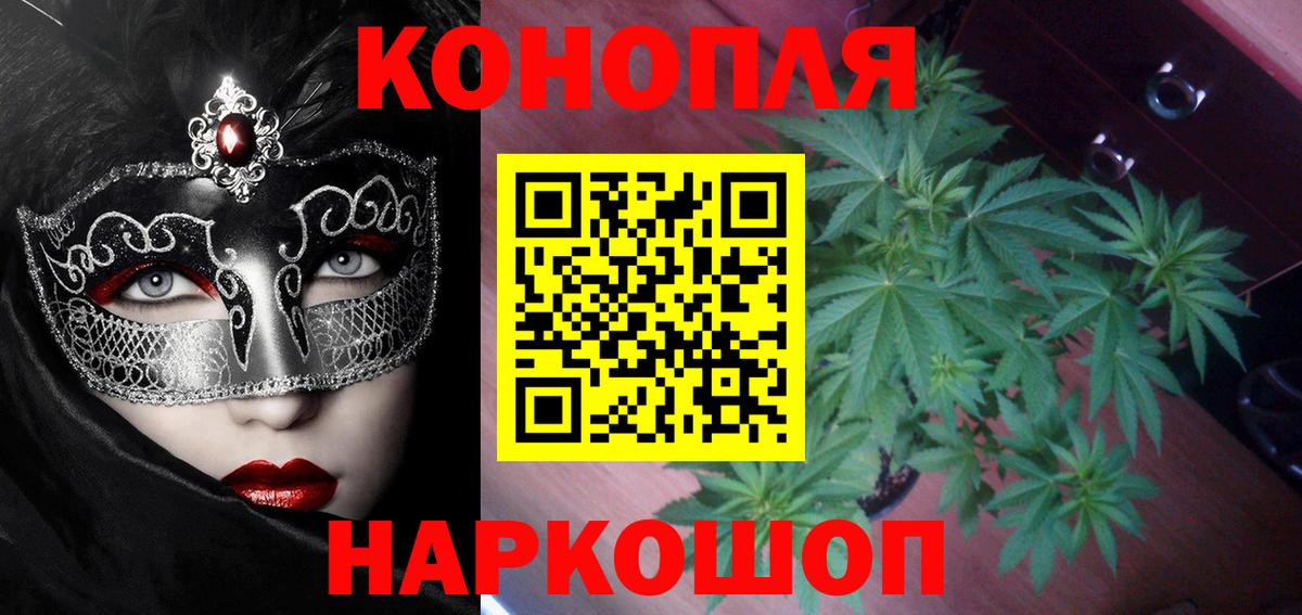 Конопля сатива  Канабис VHQ  Канабис план  Нерюнгри  Вход с VPN 
